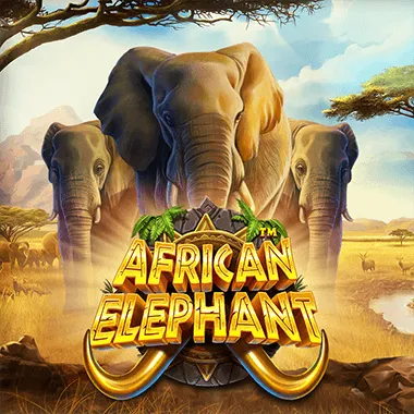 African Elephant von Pragmatic Play