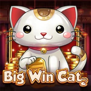 Big Win Cat von Play'n Go