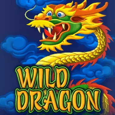 Wild Dragon von amatic